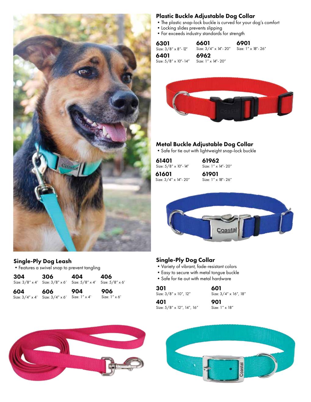 Collars & Leashes