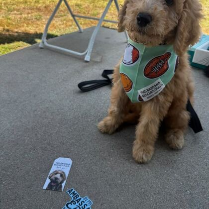 Happy Butti Distribution customer and their dog